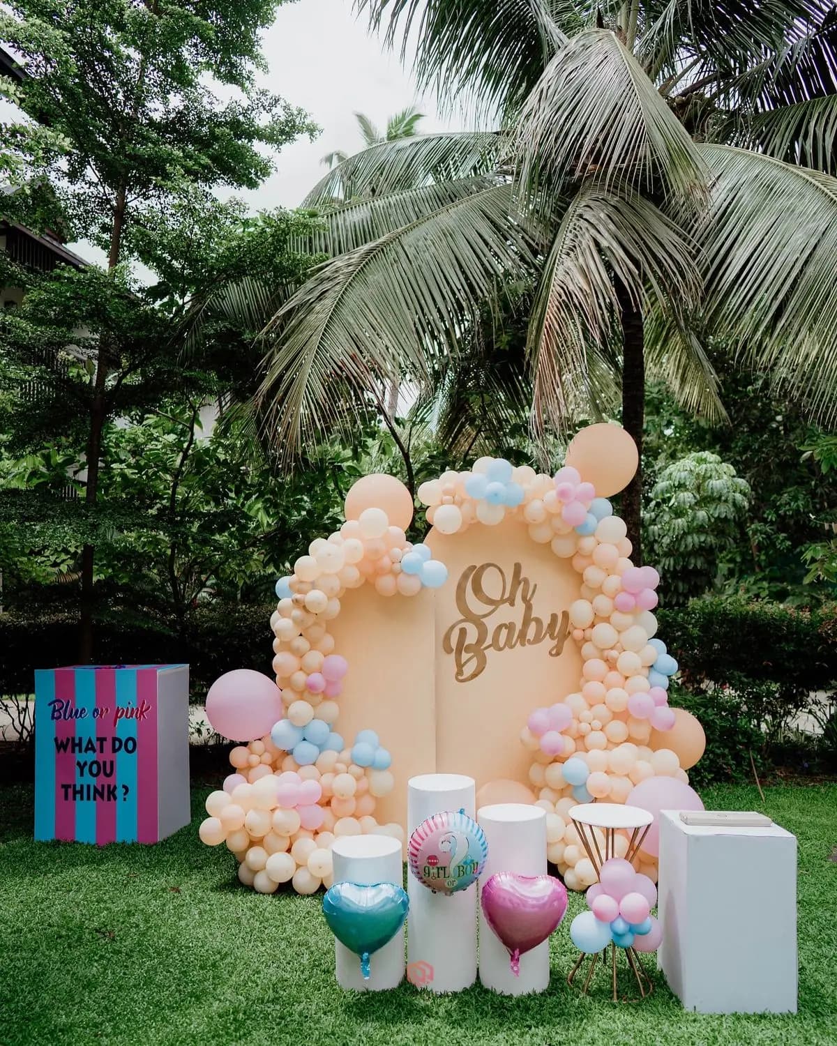 Baby Shower (Seemantham)
